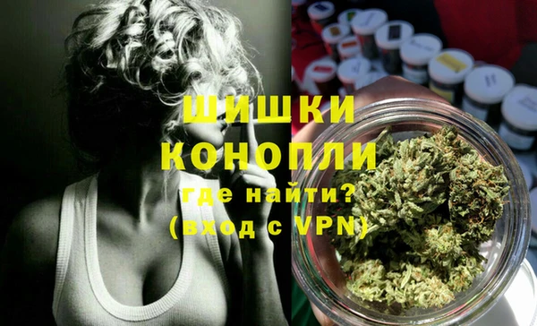 меф Ельня