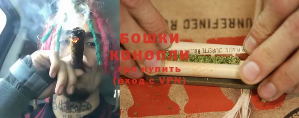 меф Ельня
