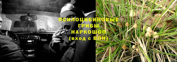 меф Ельня