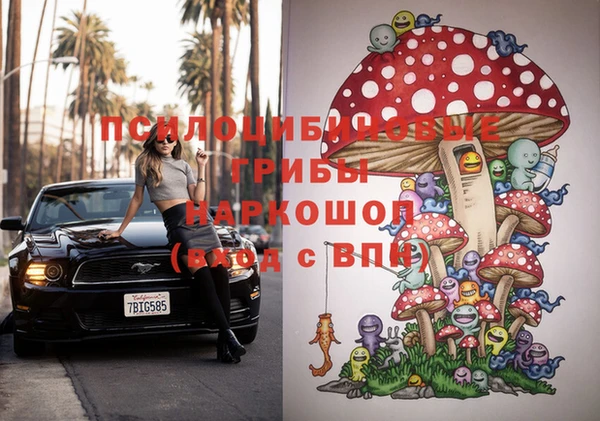 меф Ельня