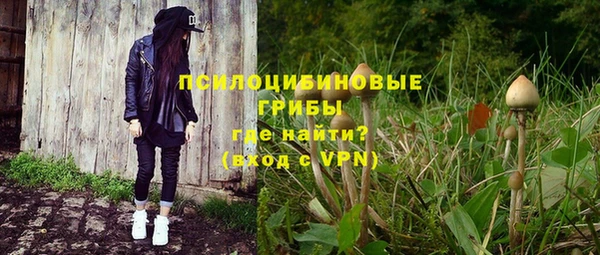 меф Ельня