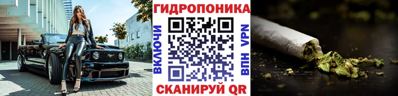 Купить закладки  Балашиха  Бошки Шишки семена 